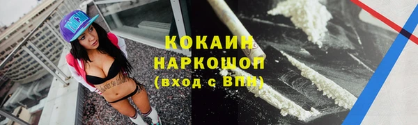 крисы Магадан