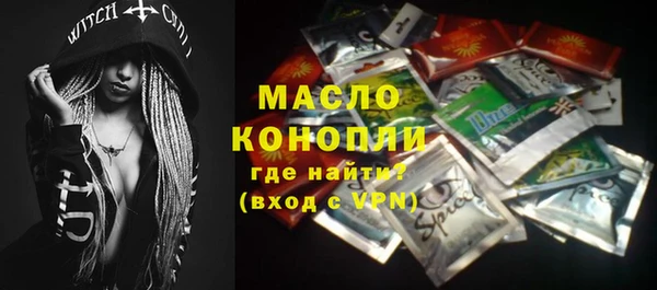 твердый Мегион