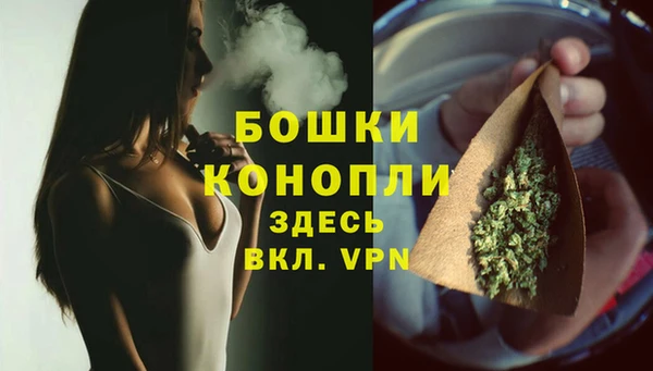 тгк Гусь-Хрустальный
