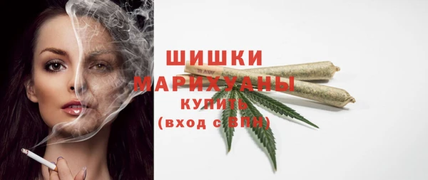 твердый Мегион