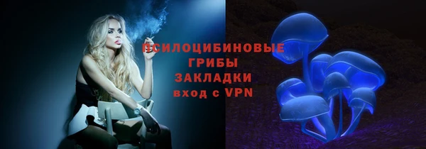ПСИЛОЦИБИНОВЫЕ ГРИБЫ Майский