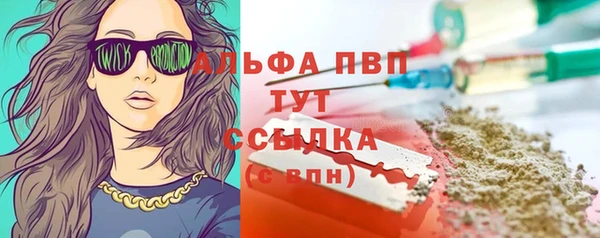 твердый Медногорск