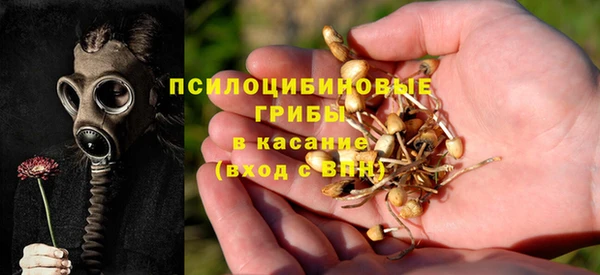 PSILOCYBIN Медвежьегорск