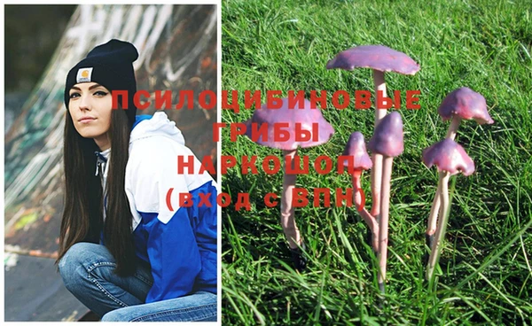 метадон Магас