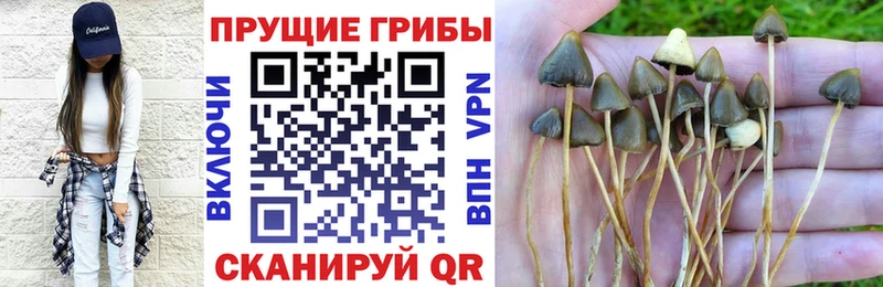 магазин продажи Миньяр Псилоцибиновые грибы ЛСД