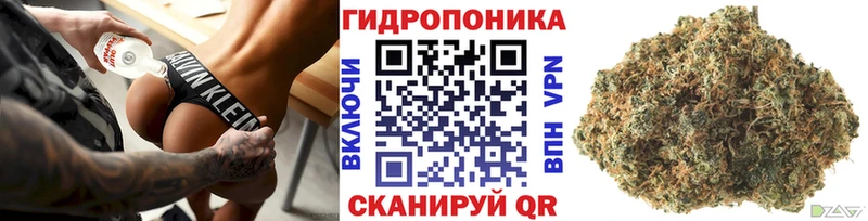 цена наркотик  Миньяр  Канабис THC 21% 