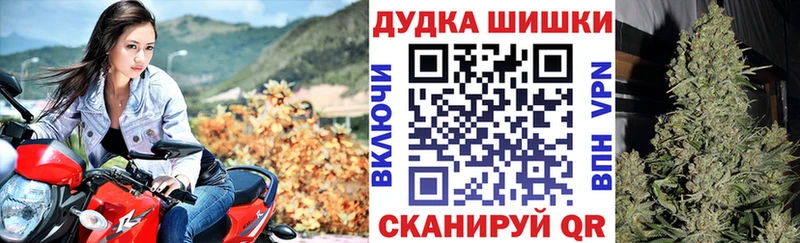 Шишки марихуана ГИДРОПОН Миньяр